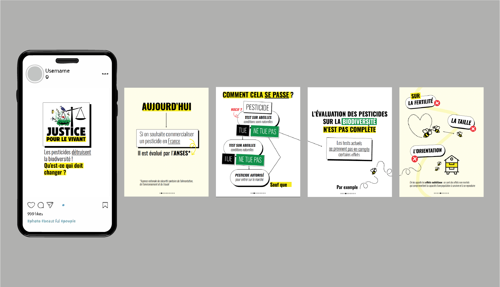 Expériences interactives